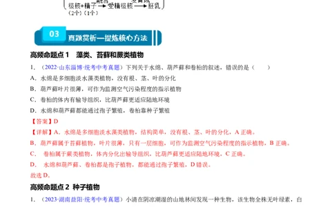 清单03生物圈中有哪些绿色植物+被子植物的一生（6大考点+6大高频命题点）（教师版）_6生物中考复习_2024年中考复习资料_一轮复习资料_完口袋书2024年中考生物一轮复习知识清单