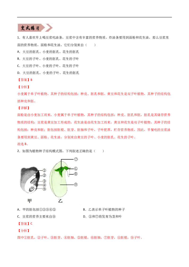 易错点03生物圈中的绿色植物-备战2022年中考生物考试易错题（解析版）_6生物中考复习_2023年中考复习资料_专项复习_备战2022年中考生物考试易错题