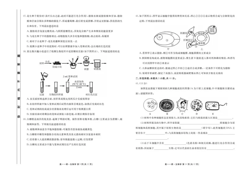 试卷_2025年11月高一试卷_251109云南省多校2025-2026学年高一上学期10月月考_云南省多校2025-2026学年高一上学期10月月考生物试题