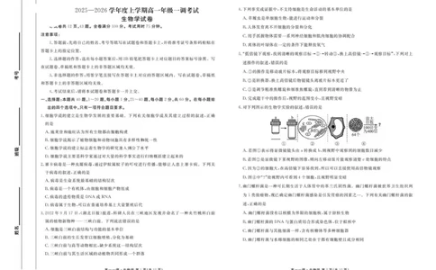 试卷_2025年11月高一试卷_251109云南省多校2025-2026学年高一上学期10月月考_云南省多校2025-2026学年高一上学期10月月考生物试题