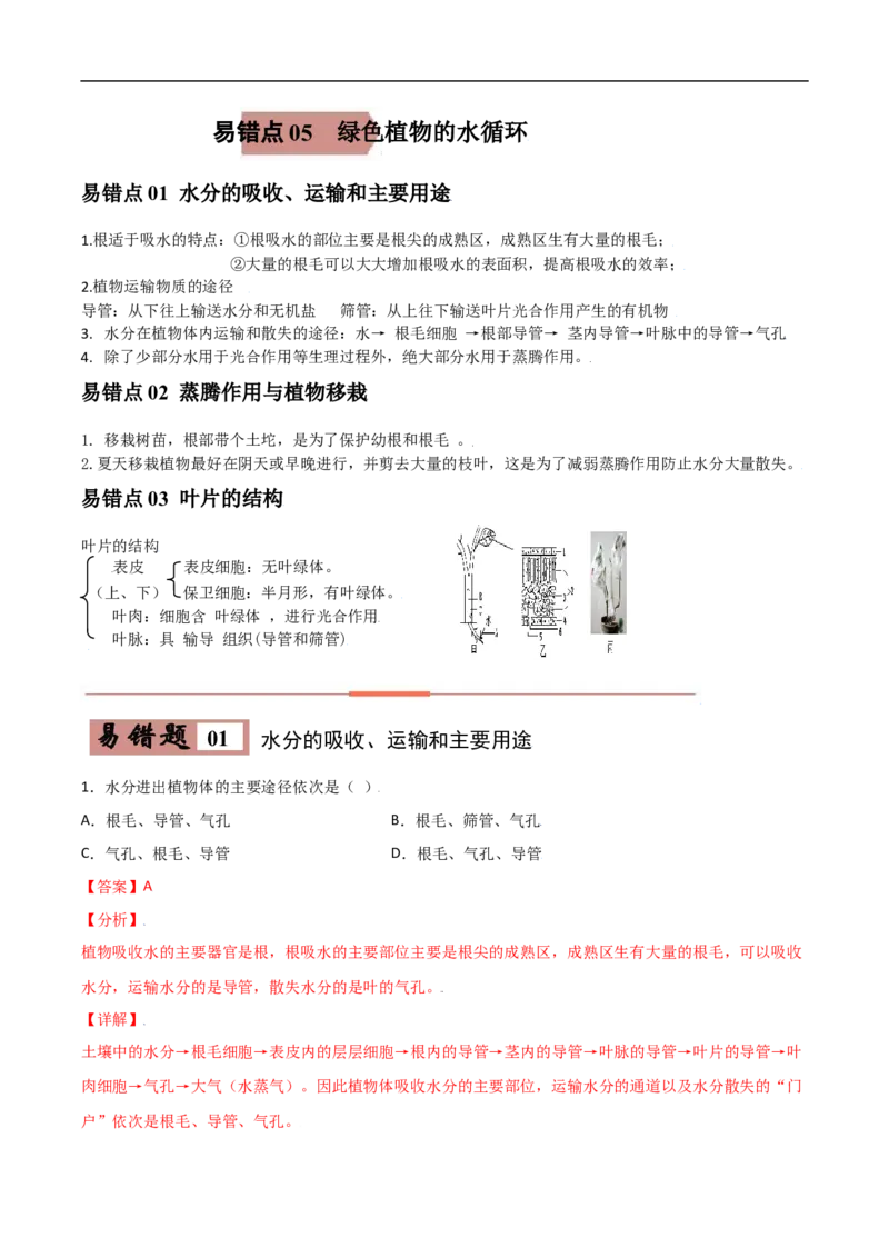 易错点05绿色植物的水循环-备战2022年中考生物考试易错题（解析版）_6生物中考复习_2023年中考复习资料_专项复习_备战2022年中考生物考试易错题
