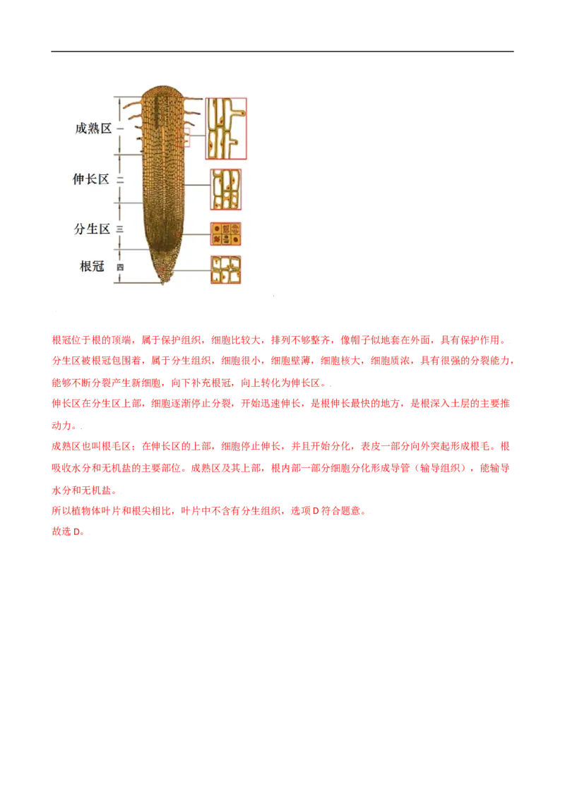 易错点05绿色植物的水循环-备战2022年中考生物考试易错题（解析版）_6生物中考复习_2023年中考复习资料_专项复习_备战2022年中考生物考试易错题