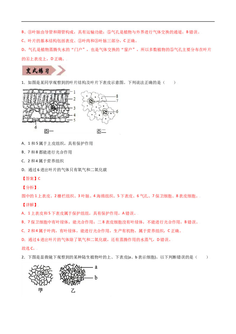 易错点05绿色植物的水循环-备战2022年中考生物考试易错题（解析版）_6生物中考复习_2023年中考复习资料_专项复习_备战2022年中考生物考试易错题