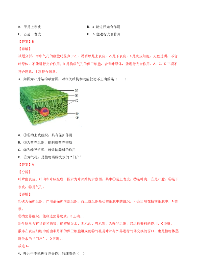 易错点05绿色植物的水循环-备战2022年中考生物考试易错题（解析版）_6生物中考复习_2023年中考复习资料_专项复习_备战2022年中考生物考试易错题