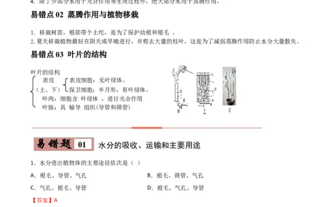 易错点05绿色植物的水循环-备战2022年中考生物考试易错题（解析版）_6生物中考复习_2023年中考复习资料_专项复习_备战2022年中考生物考试易错题
