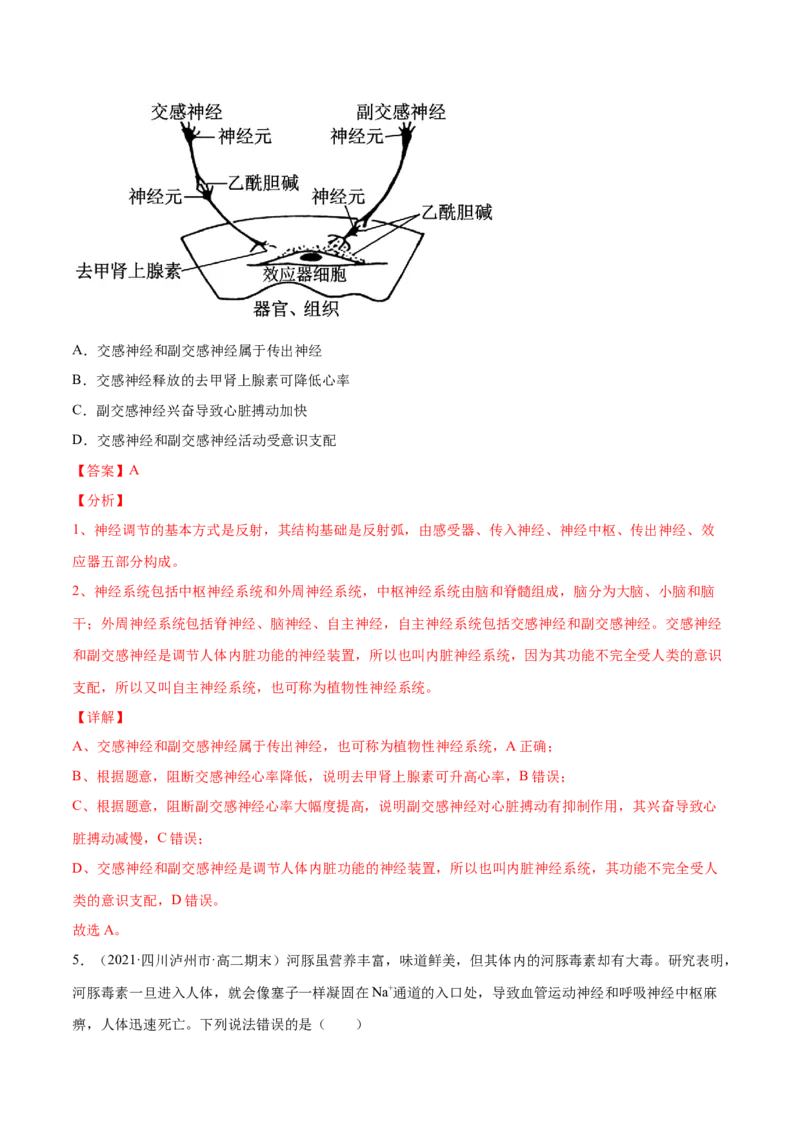 解密16神经调节（分层训练）（解析版）_新高考复习资料_2021年新高考资料_高频考点解密2021年高考生物二轮复习讲义+分层训练4.7更新