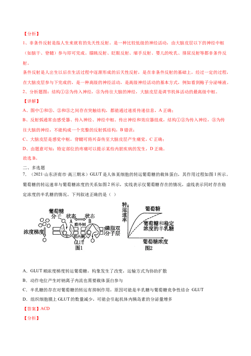 解密16神经调节（分层训练）（解析版）_新高考复习资料_2021年新高考资料_高频考点解密2021年高考生物二轮复习讲义+分层训练4.7更新
