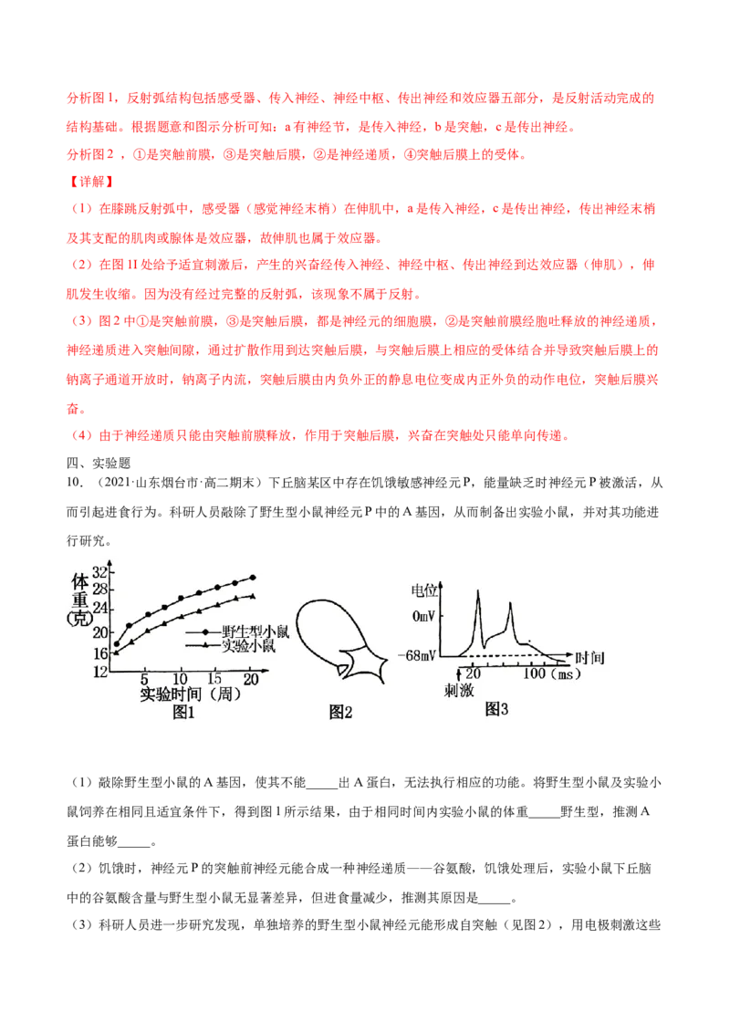 解密16神经调节（分层训练）（解析版）_新高考复习资料_2021年新高考资料_高频考点解密2021年高考生物二轮复习讲义+分层训练4.7更新
