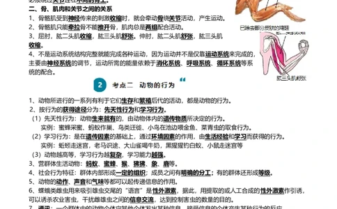 清单09动物的运动和行为+动物在生物圈中的作用（3大考点+4大高频命题点）（教师版）_6生物中考复习_2024年中考复习资料_一轮复习资料_完口袋书2024年中考生物一轮复习知识清单