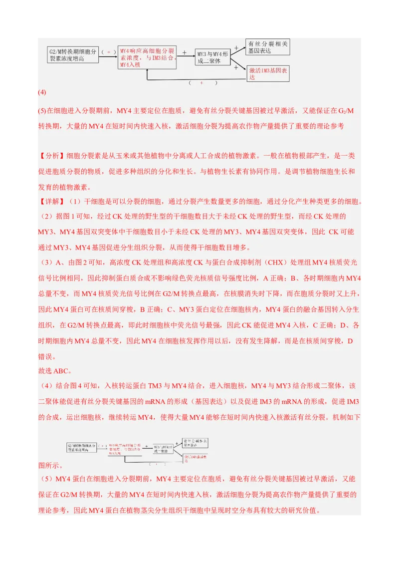 解密14植物生命活动的调节（分层训练)（解析版）_新高考复习资料_2023年新高考复习资料_二轮复习_高频考点解密2023年高考生物二轮复习讲义+分层训练（全国通用）288808838
