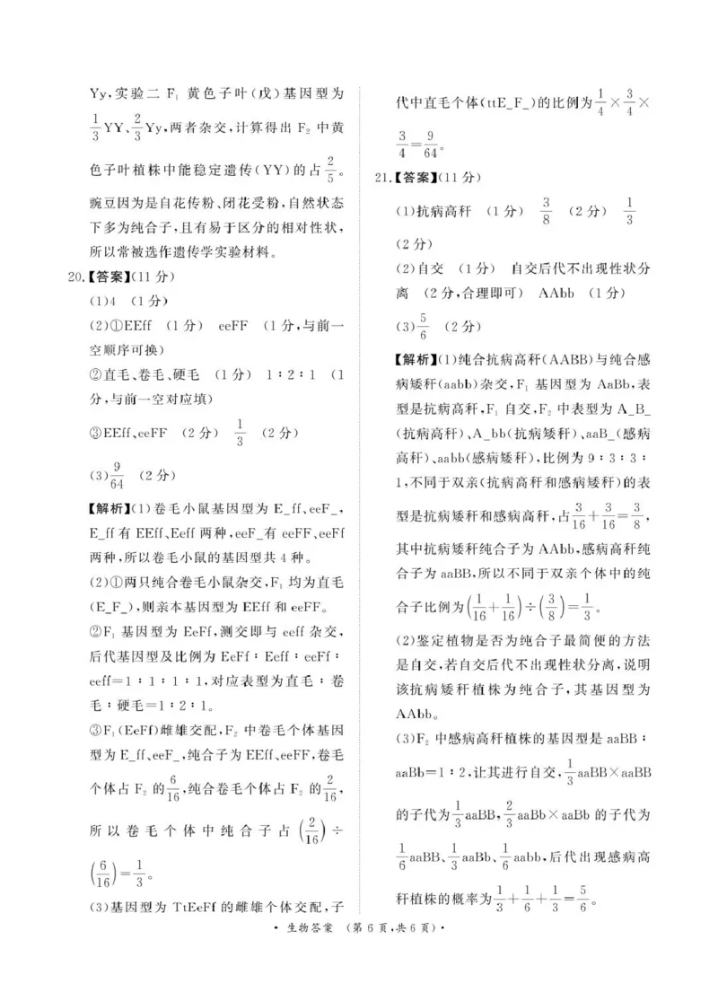 解析_2025年03月试卷_0319河南省部分名校2024-2025学年高一下学期3月联考_河南省部分名校2024-2025学年高一下学期3月联考生物试卷（PDF版，含答案）