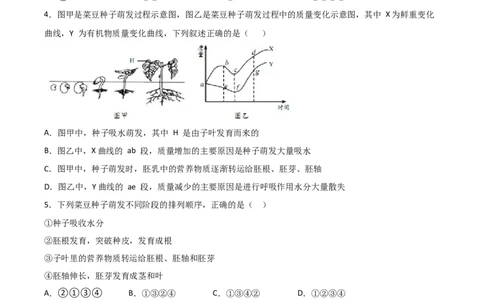 易错点04被子植物的一生-备战2022年中考生物考试易错题（原卷版）_6生物中考复习_2023年中考复习资料_专项复习_备战2022年中考生物考试易错题
