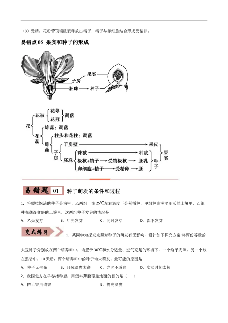 易错点04被子植物的一生-备战2022年中考生物考试易错题（原卷版）_6生物中考复习_2023年中考复习资料_专项复习_备战2022年中考生物考试易错题