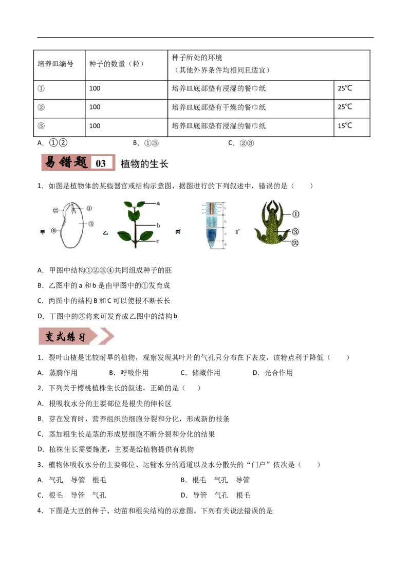 易错点04被子植物的一生-备战2022年中考生物考试易错题（原卷版）_6生物中考复习_2023年中考复习资料_专项复习_备战2022年中考生物考试易错题