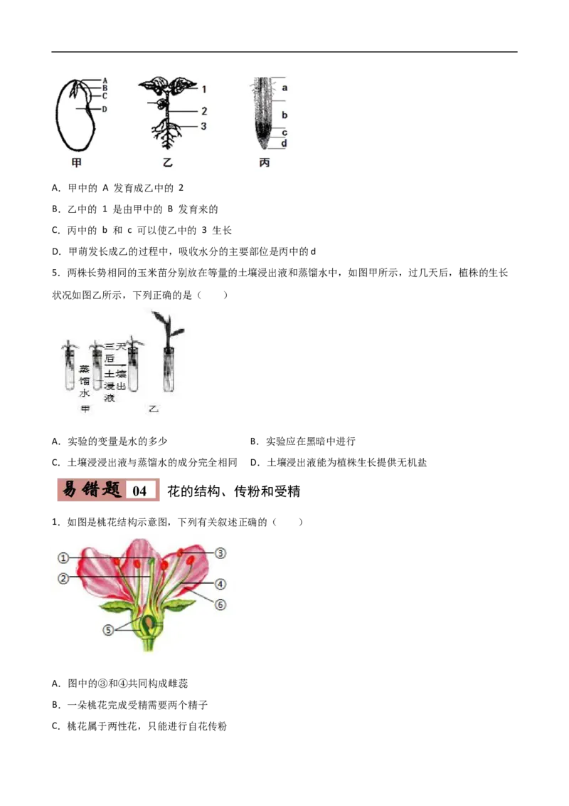 易错点04被子植物的一生-备战2022年中考生物考试易错题（原卷版）_6生物中考复习_2023年中考复习资料_专项复习_备战2022年中考生物考试易错题
