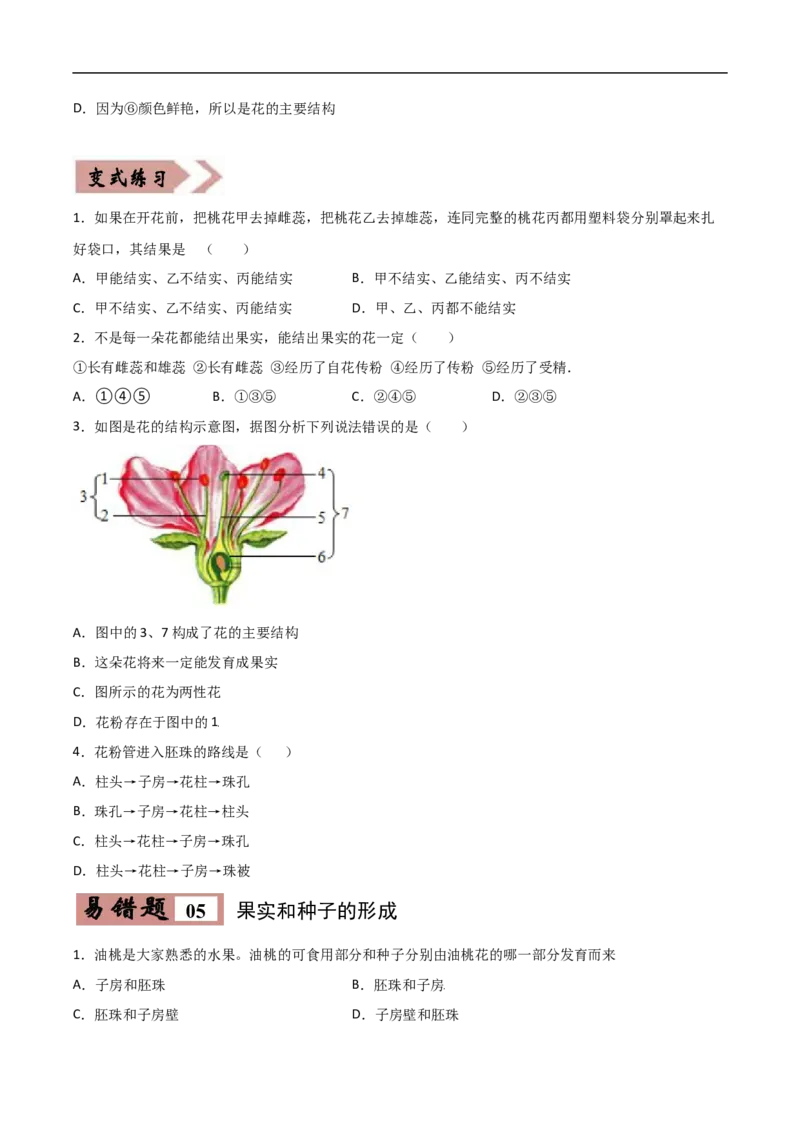 易错点04被子植物的一生-备战2022年中考生物考试易错题（原卷版）_6生物中考复习_2023年中考复习资料_专项复习_备战2022年中考生物考试易错题
