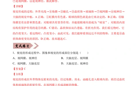 易错点12人体生命活动的调节-备战2022年中考生物考试易错题（解析版）_6生物中考复习_2023年中考复习资料_专项复习_备战2022年中考生物考试易错题
