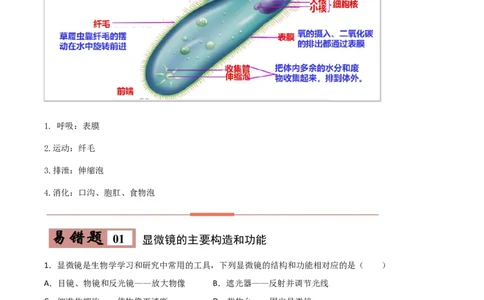 易错点02生物体的结构层次-备战2022年中考生物考试易错题（原卷版）_6生物中考复习_2023年中考复习资料_专项复习_备战2022年中考生物考试易错题