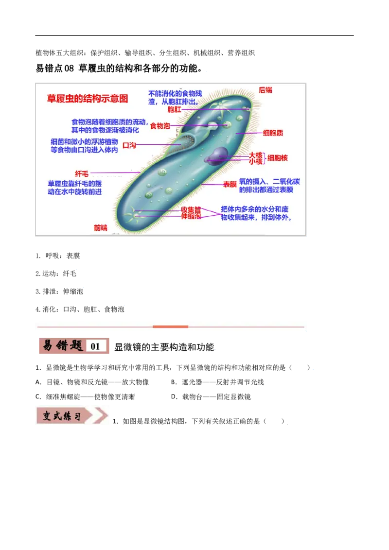 易错点02生物体的结构层次-备战2022年中考生物考试易错题（原卷版）_6生物中考复习_2023年中考复习资料_专项复习_备战2022年中考生物考试易错题