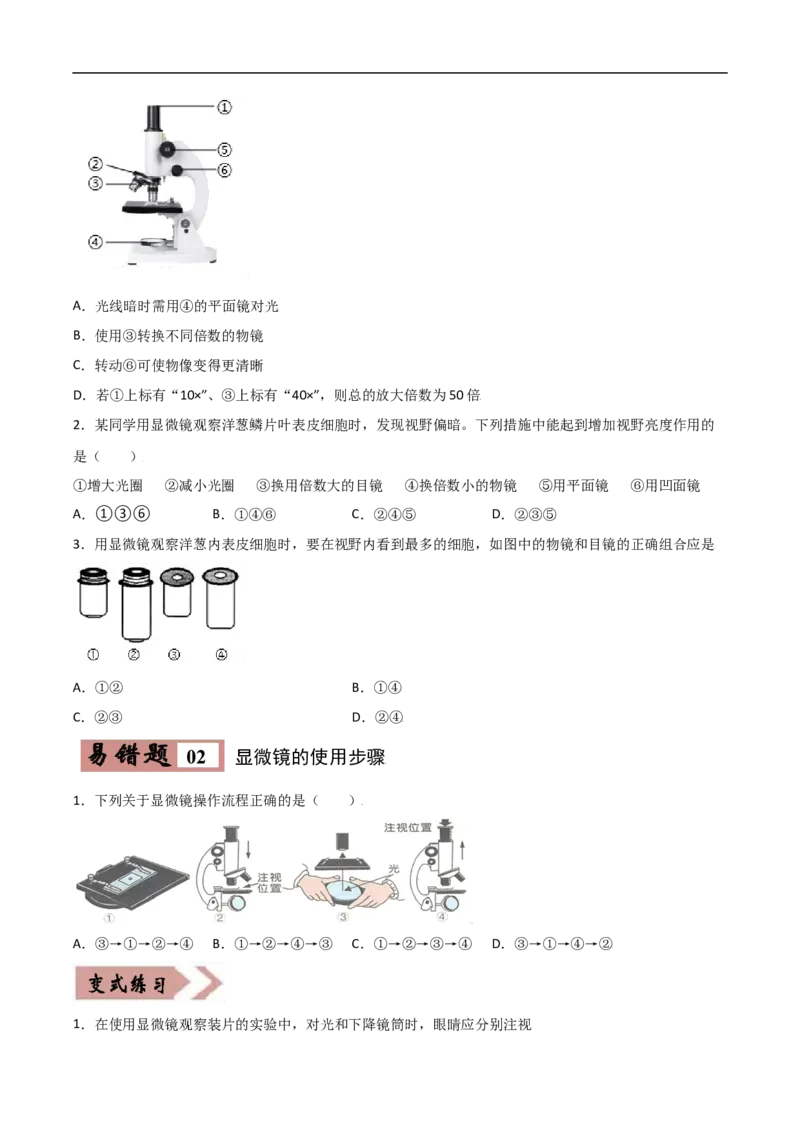 易错点02生物体的结构层次-备战2022年中考生物考试易错题（原卷版）_6生物中考复习_2023年中考复习资料_专项复习_备战2022年中考生物考试易错题
