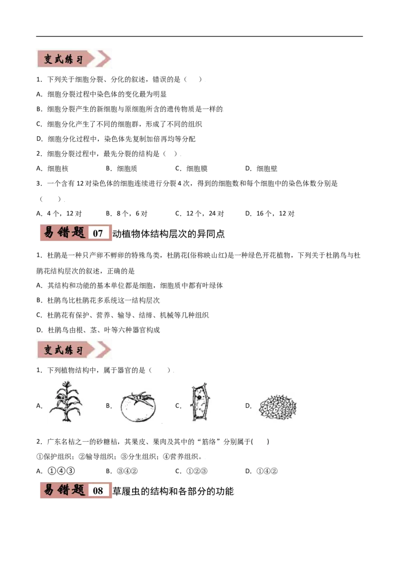 易错点02生物体的结构层次-备战2022年中考生物考试易错题（原卷版）_6生物中考复习_2023年中考复习资料_专项复习_备战2022年中考生物考试易错题