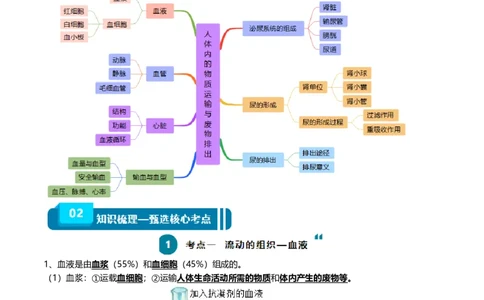 清单06人体内的物质运输与废物排出（6大考点+6大高频命题点）（学生版）_6生物中考复习_2024年中考复习资料_一轮复习资料_完口袋书2024年中考生物一轮复习知识清单