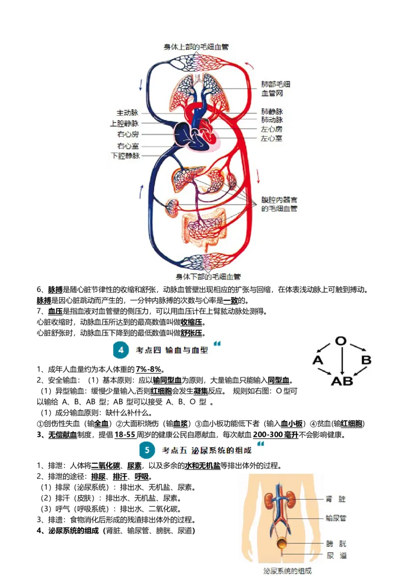 清单06人体内的物质运输与废物排出（6大考点+6大高频命题点）（学生版）_6生物中考复习_2024年中考复习资料_一轮复习资料_完口袋书2024年中考生物一轮复习知识清单