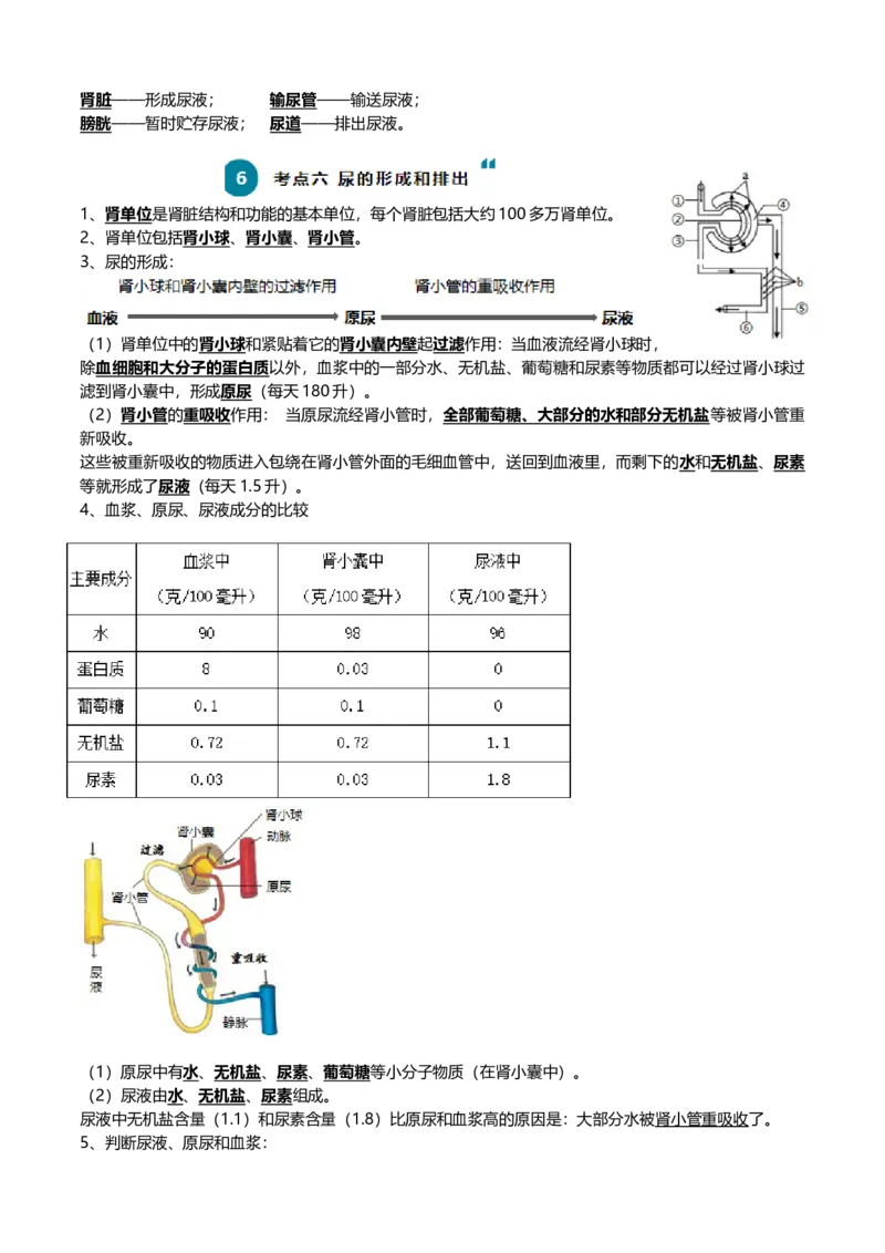 清单06人体内的物质运输与废物排出（6大考点+6大高频命题点）（学生版）_6生物中考复习_2024年中考复习资料_一轮复习资料_完口袋书2024年中考生物一轮复习知识清单