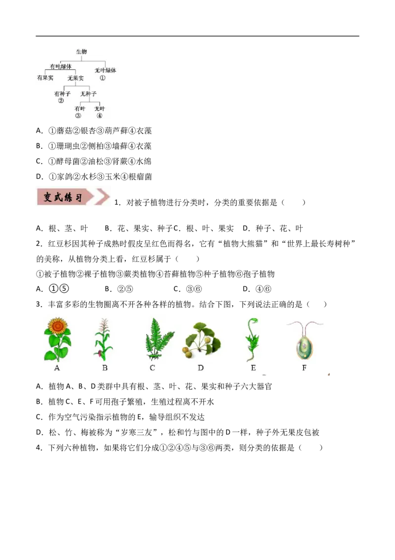 易错点17生物多样性及其保护-备战2022年中考生物考试易错题（原卷版）_6生物中考复习_2023年中考复习资料_专项复习_备战2022年中考生物考试易错题