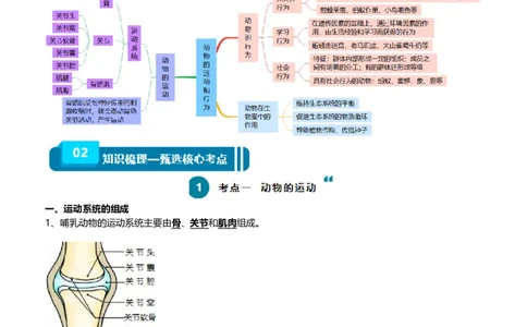 清单09动物的运动和行为+动物在生物圈中的作用（3大考点+4大高频命题点）（学生版）_6生物中考复习_2024年中考复习资料_一轮复习资料_完口袋书2024年中考生物一轮复习知识清单