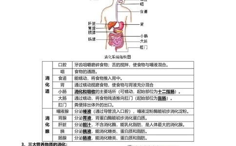 清单05人体的营养与呼吸（5大考点+5大高频命题点）（学生版）_6生物中考复习_2024年中考复习资料_一轮复习资料_完口袋书2024年中考生物一轮复习知识清单