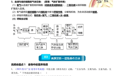 清单05人体的营养与呼吸（5大考点+5大高频命题点）（学生版）_6生物中考复习_2024年中考复习资料_一轮复习资料_完口袋书2024年中考生物一轮复习知识清单