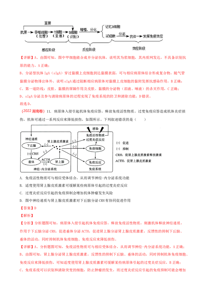 解密13免疫调节（讲义)（教师版）_新高考复习资料_2023年新高考复习资料_二轮复习_高频考点解密2023年高考生物二轮复习讲义+分层训练（全国通用）288808838