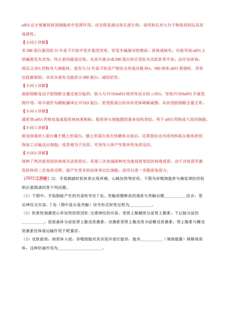 解密13免疫调节（讲义)（教师版）_新高考复习资料_2023年新高考复习资料_二轮复习_高频考点解密2023年高考生物二轮复习讲义+分层训练（全国通用）288808838