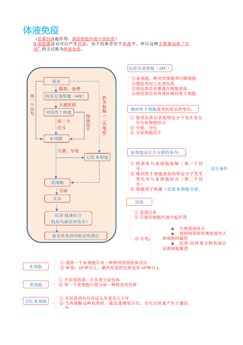 解密13免疫调节（讲义)（教师版）_新高考复习资料_2023年新高考复习资料_二轮复习_高频考点解密2023年高考生物二轮复习讲义+分层训练（全国通用）288808838