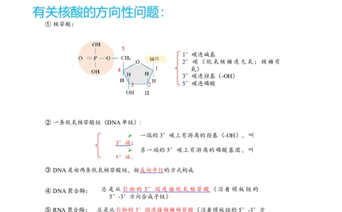 解密19基因工程（讲义）（学生版）_新高考复习资料_2023年新高考复习资料_二轮复习_高频考点解密2023年高考生物二轮复习讲义+分层训练（全国通用）288808838