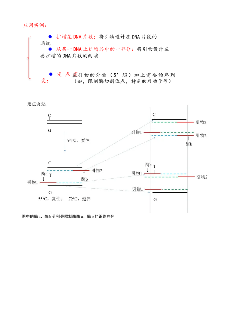 解密19基因工程（讲义）（学生版）_新高考复习资料_2023年新高考复习资料_二轮复习_高频考点解密2023年高考生物二轮复习讲义+分层训练（全国通用）288808838