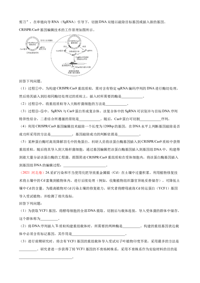 解密19基因工程（讲义）（学生版）_新高考复习资料_2023年新高考复习资料_二轮复习_高频考点解密2023年高考生物二轮复习讲义+分层训练（全国通用）288808838
