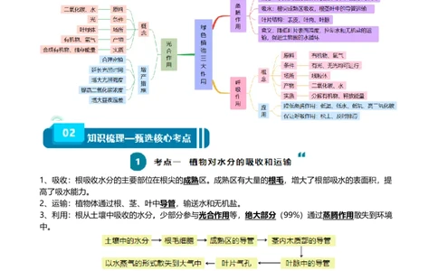 清单04绿色植物的三大作用（5大考点+5大高频命题点）（学生版）_6生物中考复习_2024年中考复习资料_一轮复习资料_完口袋书2024年中考生物一轮复习知识清单