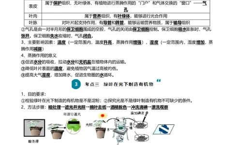 清单04绿色植物的三大作用（5大考点+5大高频命题点）（学生版）_6生物中考复习_2024年中考复习资料_一轮复习资料_完口袋书2024年中考生物一轮复习知识清单