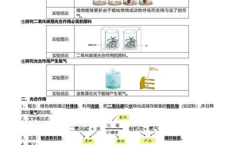 清单04绿色植物的三大作用（5大考点+5大高频命题点）（学生版）_6生物中考复习_2024年中考复习资料_一轮复习资料_完口袋书2024年中考生物一轮复习知识清单