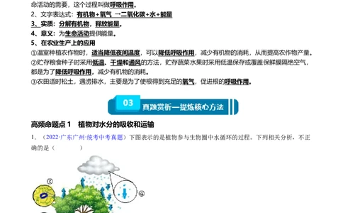 清单04绿色植物的三大作用（5大考点+5大高频命题点）（学生版）_6生物中考复习_2024年中考复习资料_一轮复习资料_完口袋书2024年中考生物一轮复习知识清单