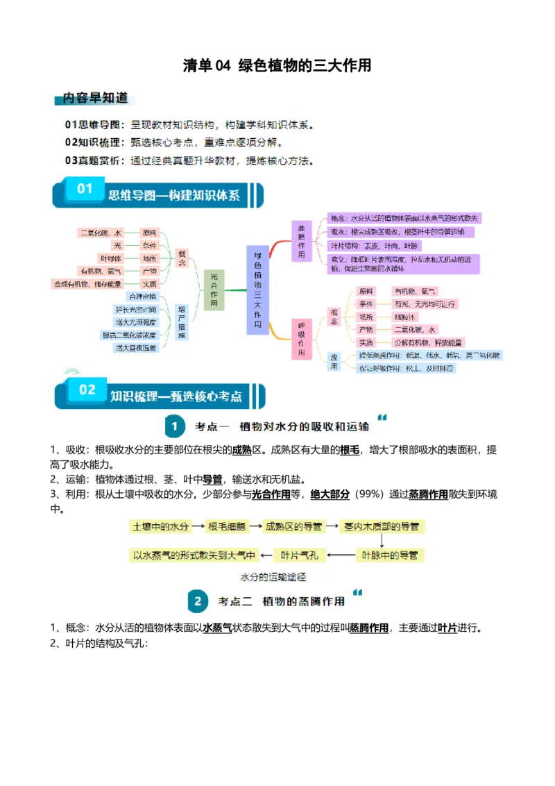 清单04绿色植物的三大作用（5大考点+5大高频命题点）（学生版）_6生物中考复习_2024年中考复习资料_一轮复习资料_完口袋书2024年中考生物一轮复习知识清单