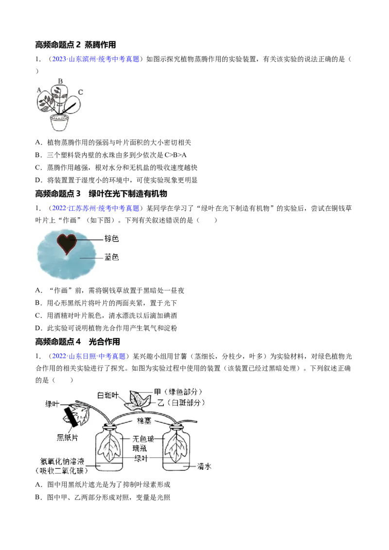 清单04绿色植物的三大作用（5大考点+5大高频命题点）（学生版）_6生物中考复习_2024年中考复习资料_一轮复习资料_完口袋书2024年中考生物一轮复习知识清单