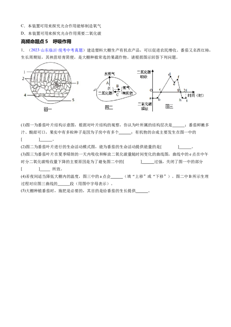 清单04绿色植物的三大作用（5大考点+5大高频命题点）（学生版）_6生物中考复习_2024年中考复习资料_一轮复习资料_完口袋书2024年中考生物一轮复习知识清单