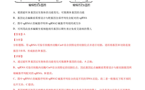 解密26基因工程（分层训练）（解析版）_新高考复习资料_2021年新高考资料_高频考点解密2021年高考生物二轮复习讲义+分层训练4.7更新