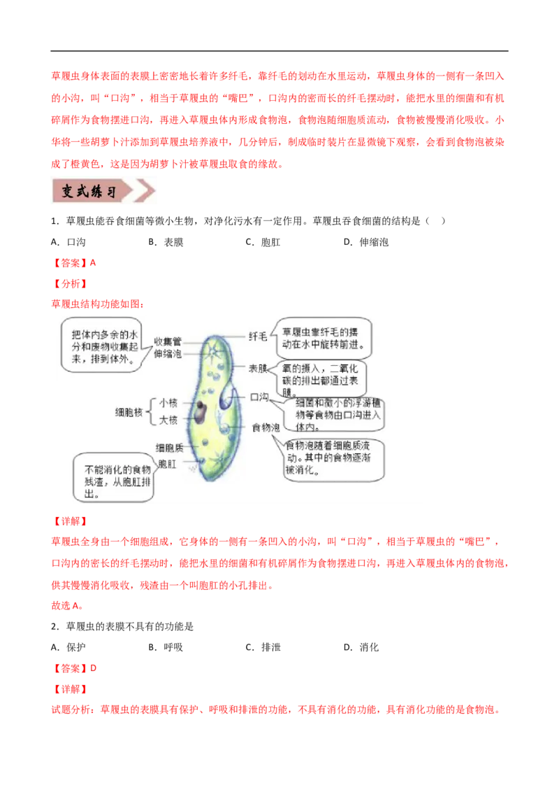 易错点02生物体的结构层次-备战2022年中考生物考试易错题（解析版）_6生物中考复习_2023年中考复习资料_专项复习_备战2022年中考生物考试易错题