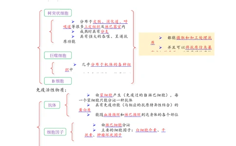 解密13免疫调节（讲义)（学生版）_通用版（老高考）复习资料_2023年复习资料_二轮复习_高频考点解密2023年高考生物二轮复习讲义+分层训练（全国通用）