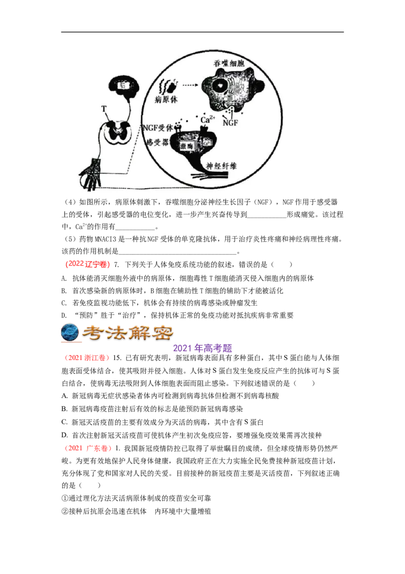 解密13免疫调节（讲义)（学生版）_通用版（老高考）复习资料_2023年复习资料_二轮复习_高频考点解密2023年高考生物二轮复习讲义+分层训练（全国通用）