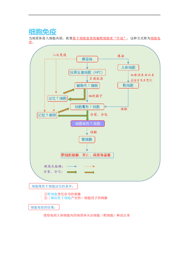 解密13免疫调节（讲义)（学生版）_通用版（老高考）复习资料_2023年复习资料_二轮复习_高频考点解密2023年高考生物二轮复习讲义+分层训练（全国通用）